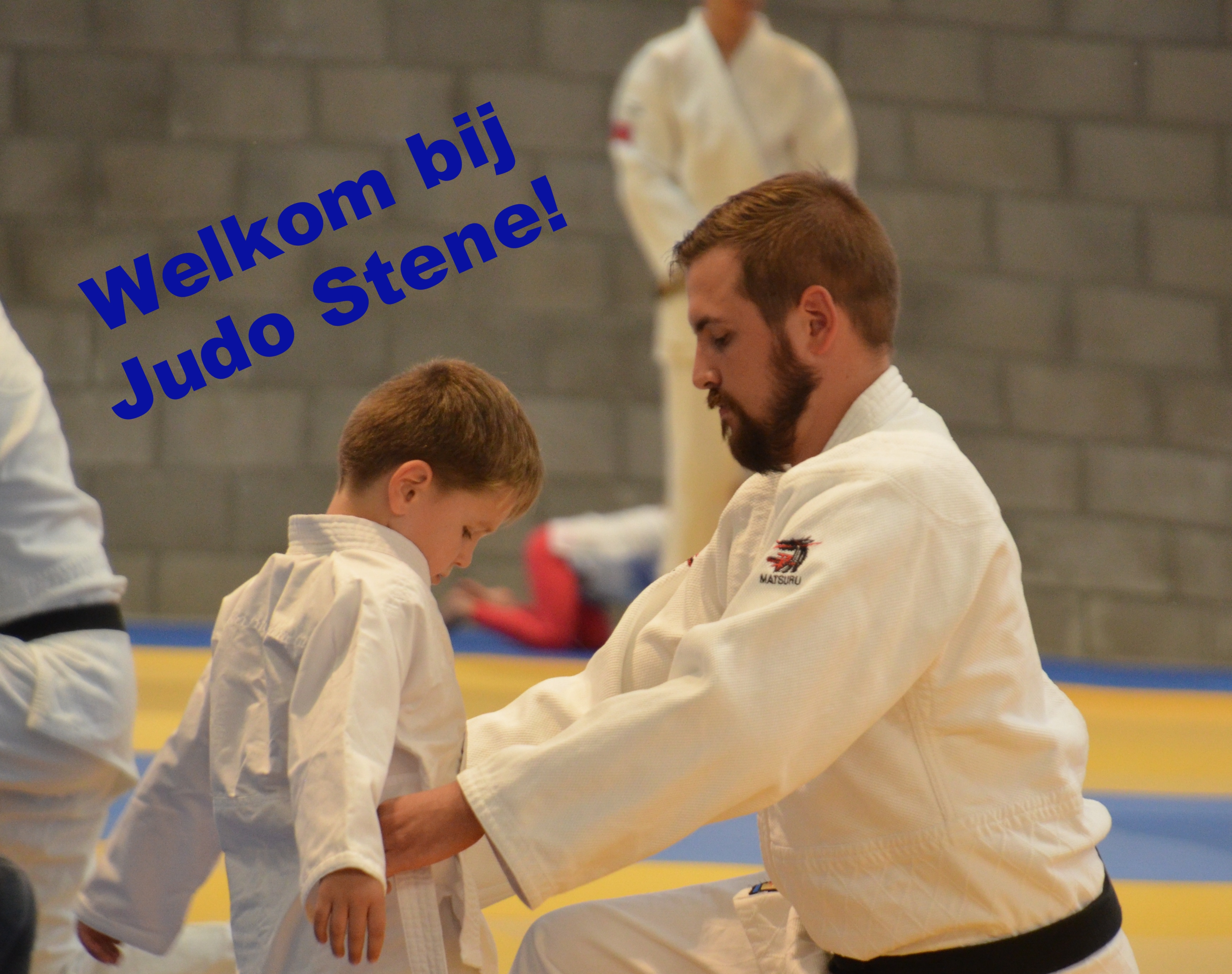 Main image of Judo Stene