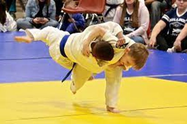 Main image of Judo-team Grafing
