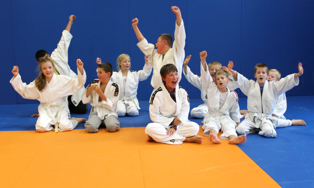 Main image of Judo Zwolle