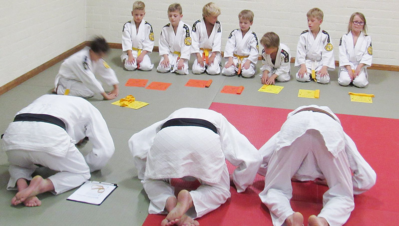 Main image of Judoclub Berkel-Enschot Ten Shi