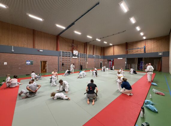 Main image of Judoschool van der Hoek