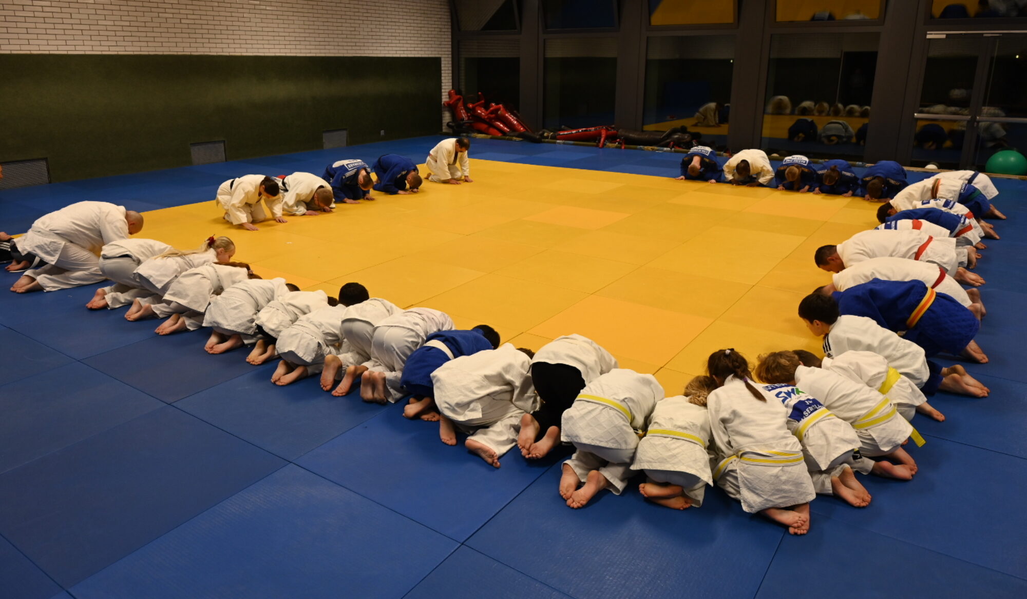 Main image of Judosportverein Kaiserslautern e. V.