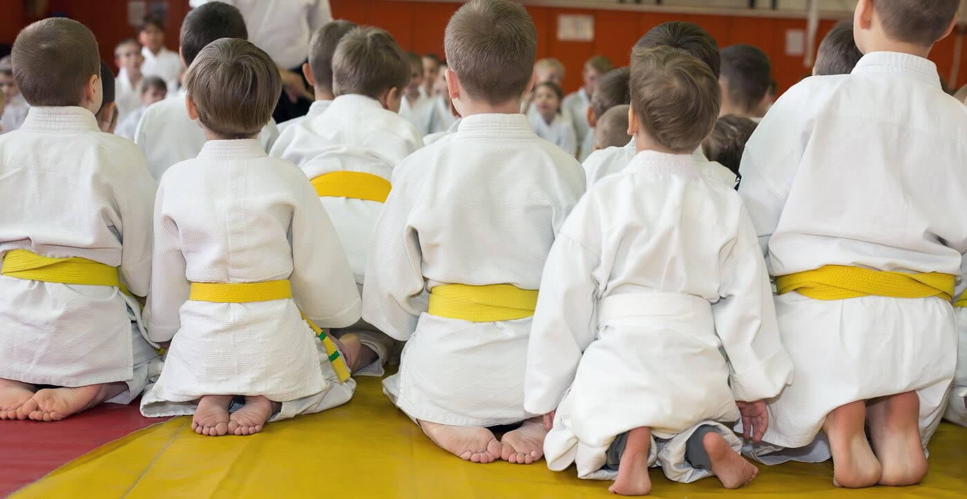 Main image of Judoverein Leipzig-Stahmeln e.V.