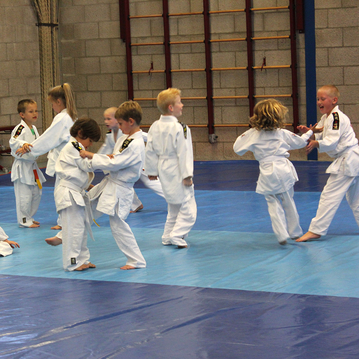 Main image of Judovereniging Itaikan