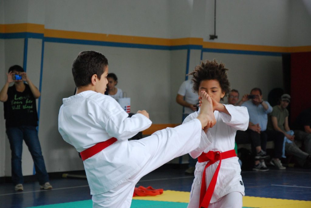 Main image of Jujitsu Brianza