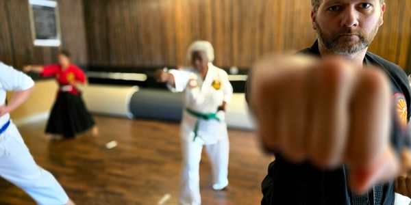 Main image of Juko-Ryu Toide & Martial Arts Center