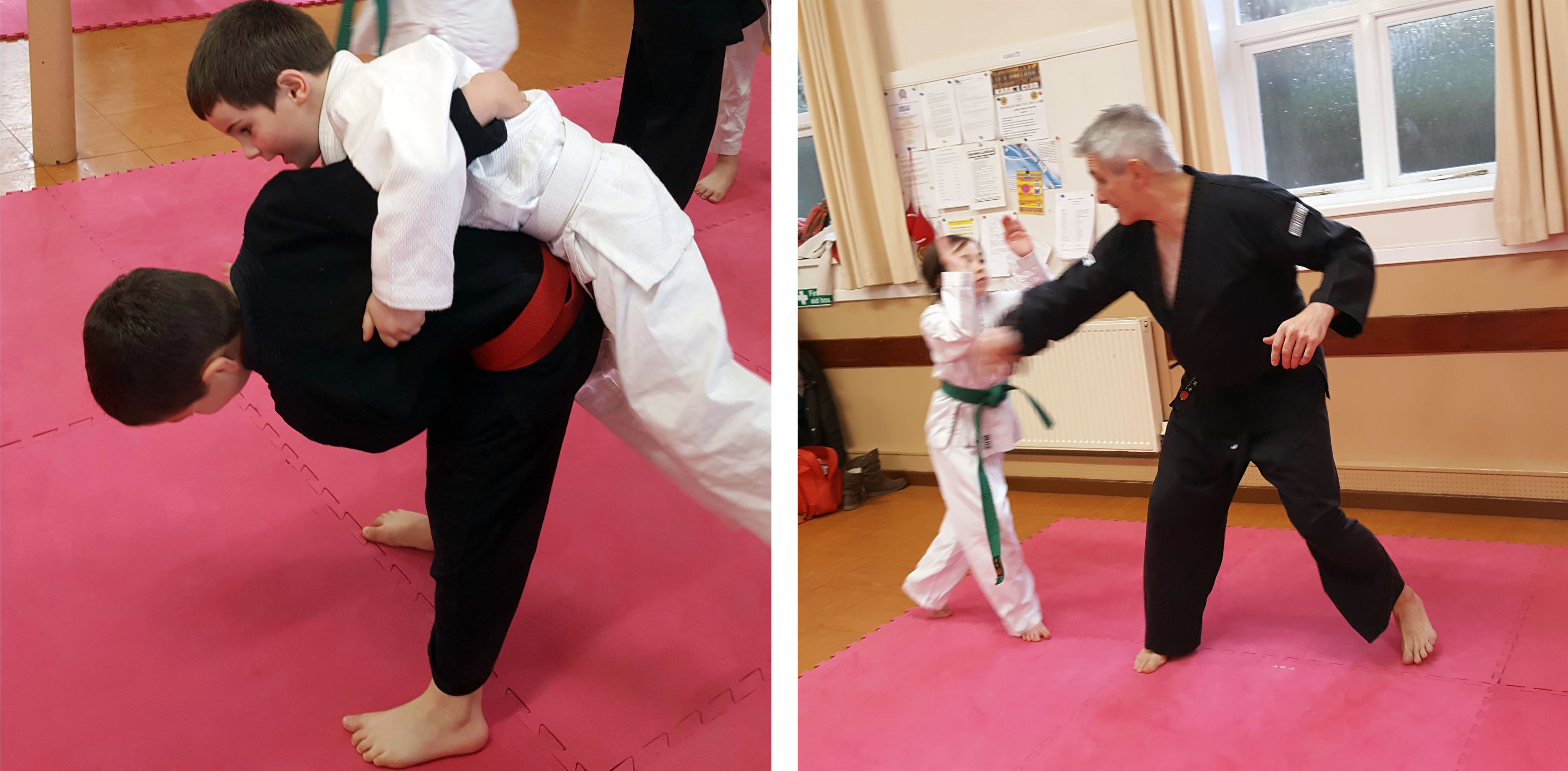 Main image of Junior Jitsu
