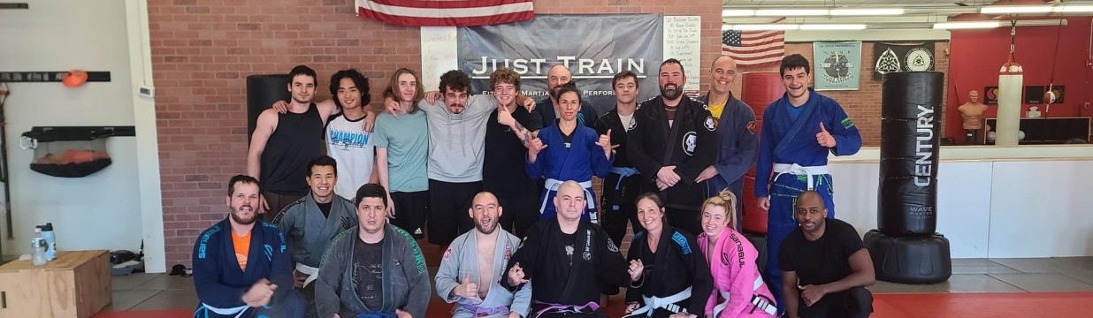 Main image of Just Train
