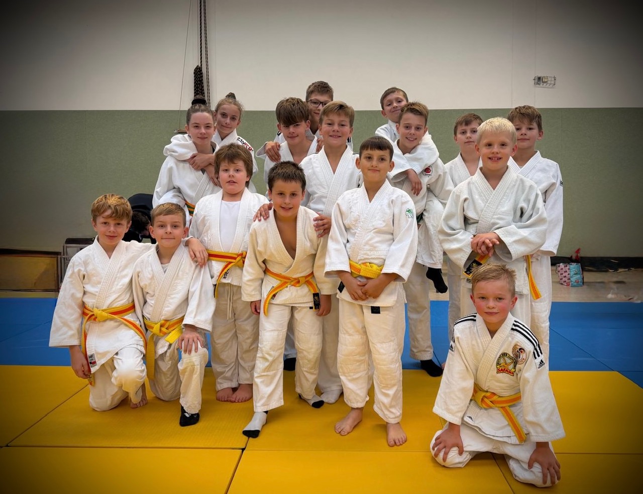 Main image of Jv Ippon Rodewisch E.v.