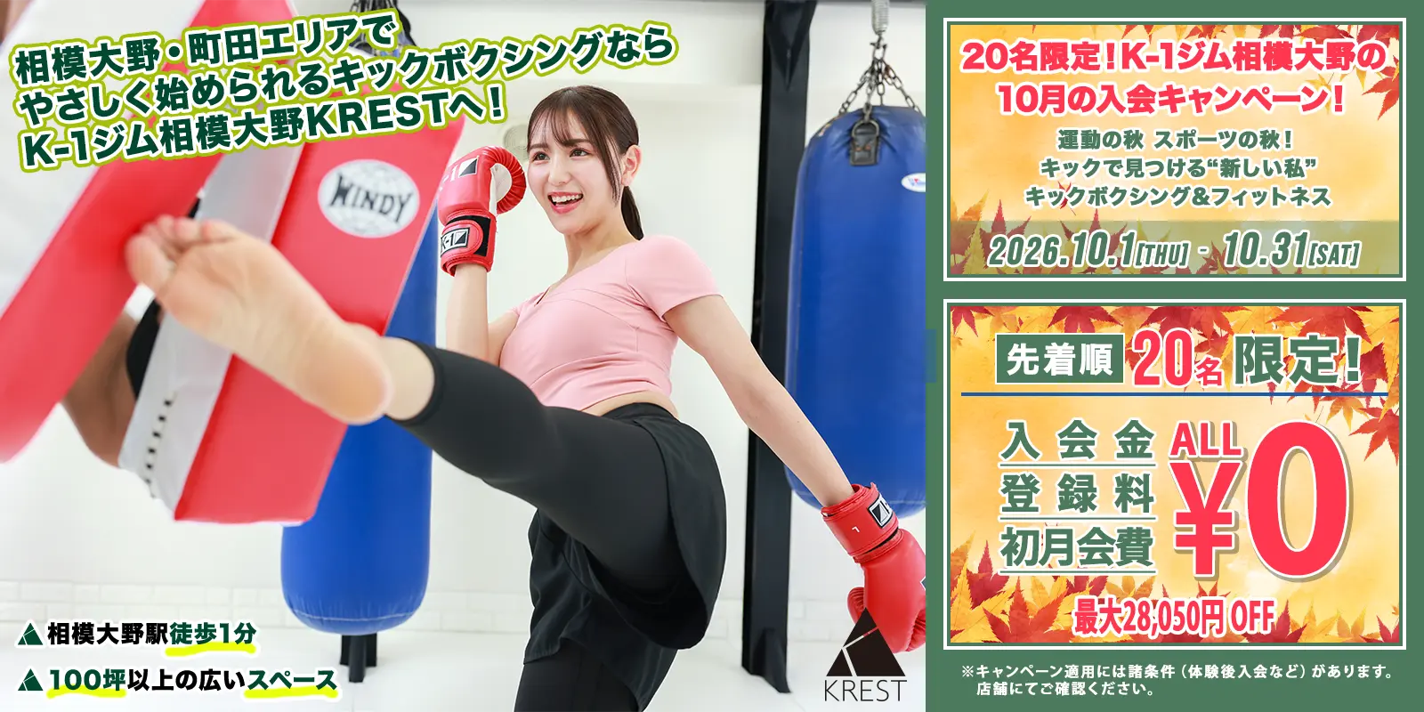 Main image of K-1 Krest (Kickboxing)