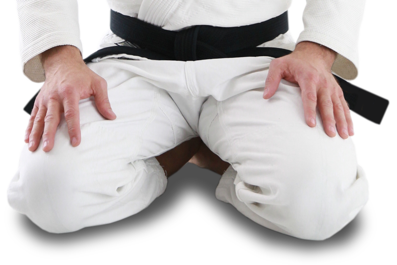 Main image of Kaizen Dojo