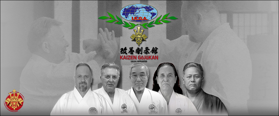 Main image of Kaizen Gojukan