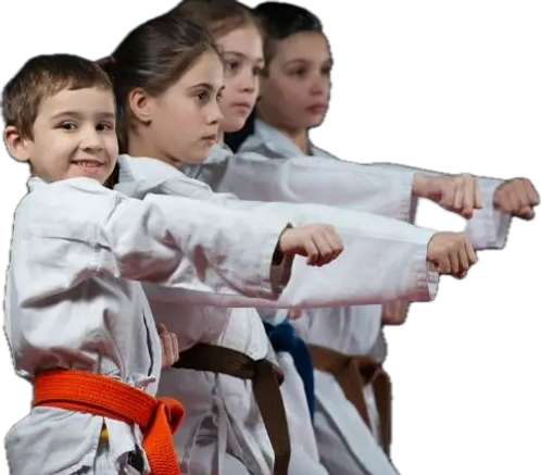 Main image of Kaizen Martial Arts Hermitage