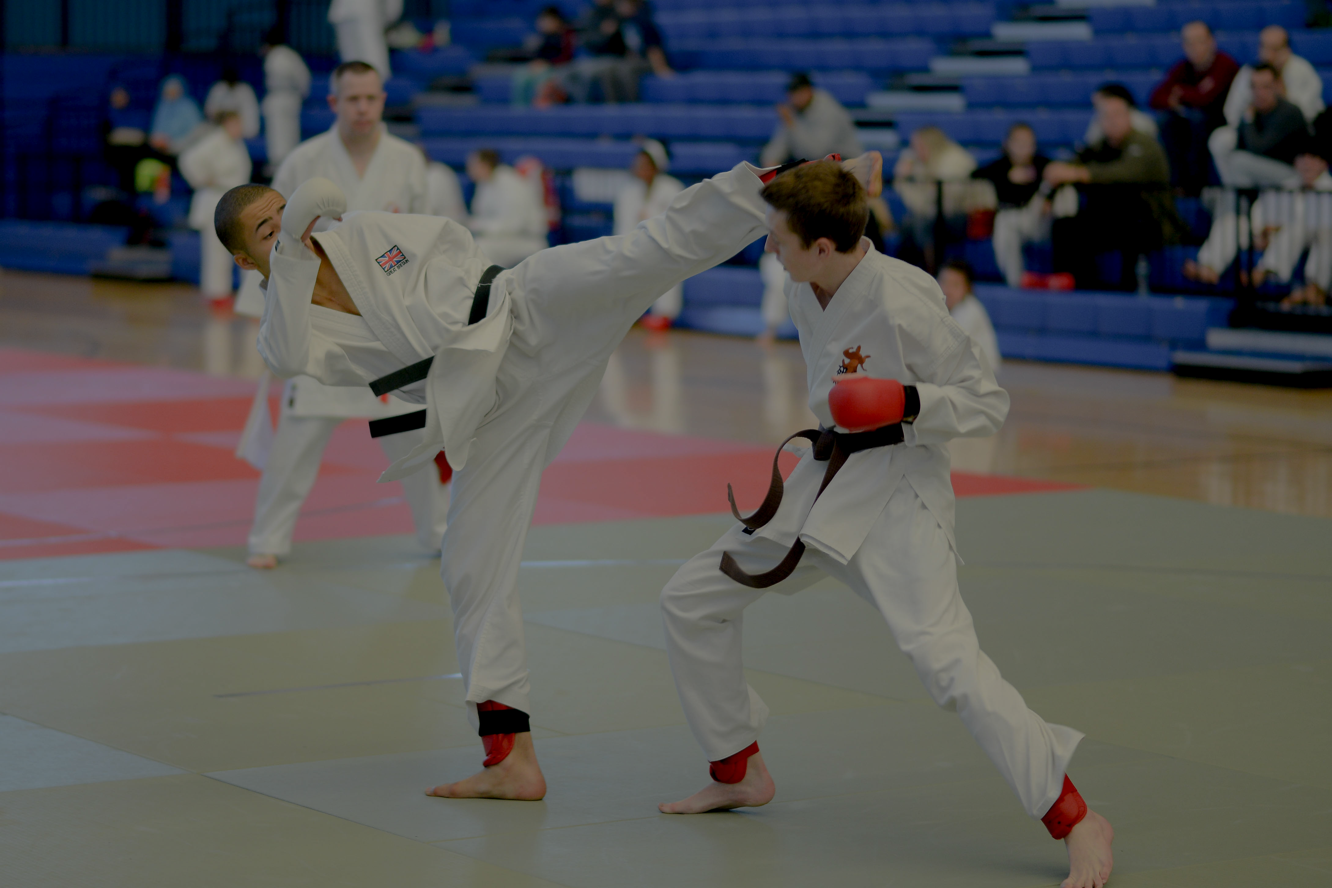 Main image of Kaizen Ryu Karate
