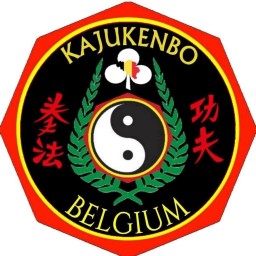 Main image of KAJUKENBO OHANA BELGIUM 313
