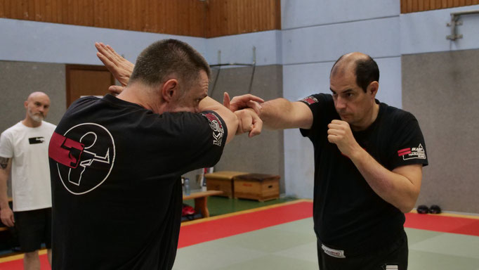 Main image of Kali Silat Evolution Karlsruhe