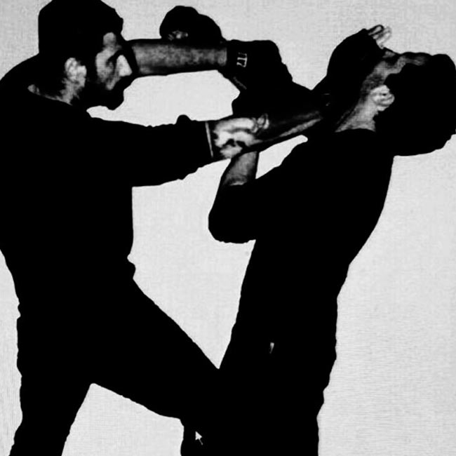 Main image of Kampfkunst Studio Sifu Miladin eingetragner Verein i.G.