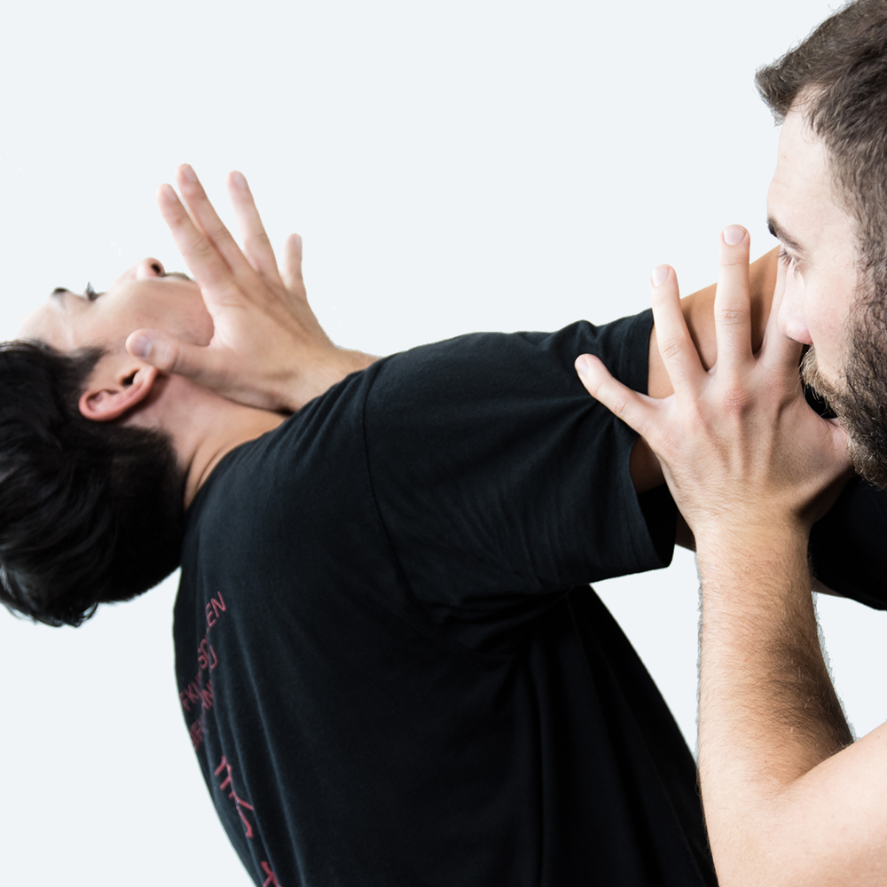 Main image of Kampfkunst und Selbstverteidigung Sifu Bernd Nau