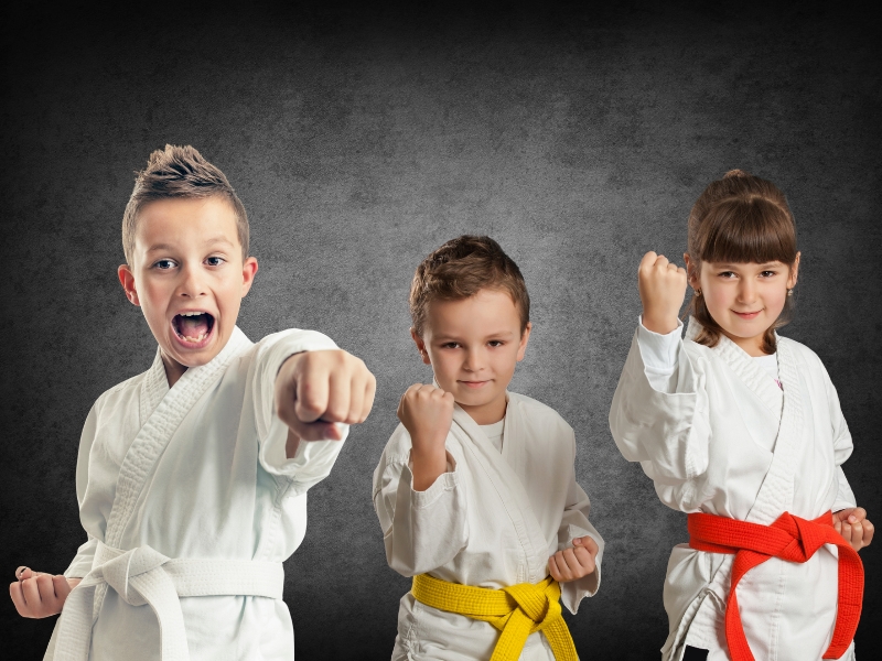 Main image of Kampfsportschule Bushido