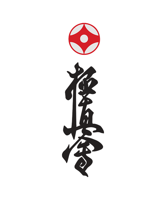 Main image of Kanku Dojo