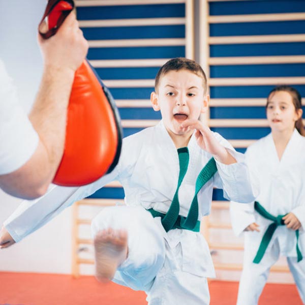 Main image of Karam's Martial Arts