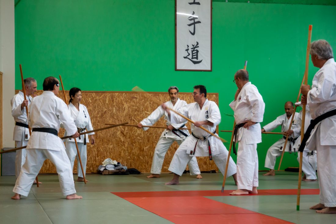 Main image of Karasu Dojo