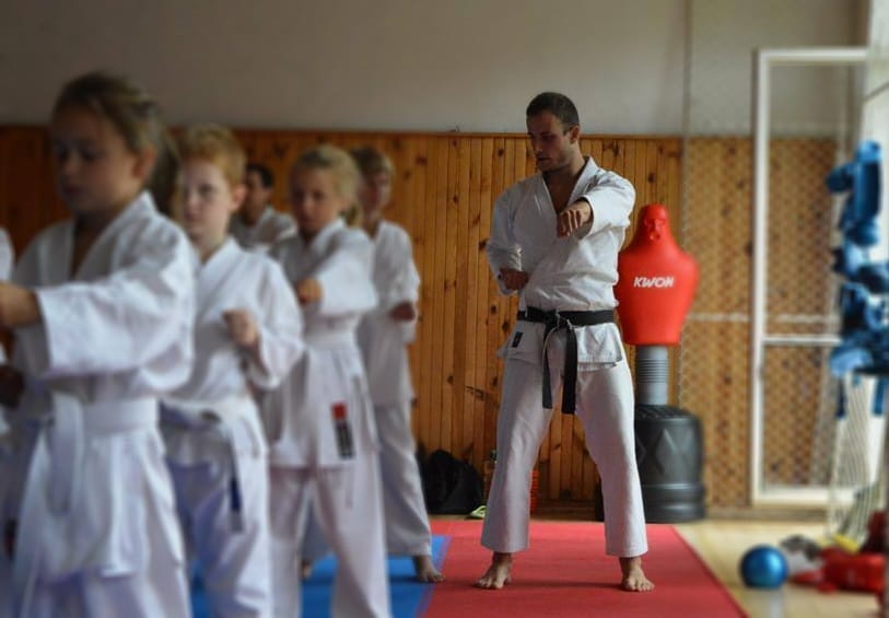Main image of Karate Academy Cheb
