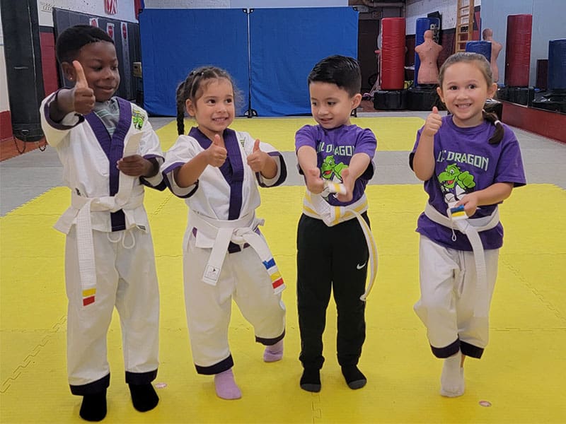 Main image of Karate Academy