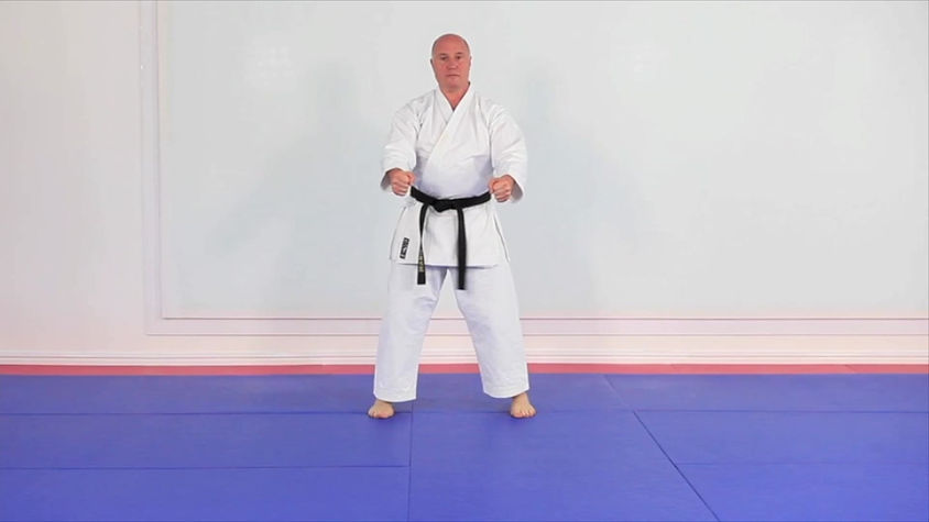 Main image of Karate Advice