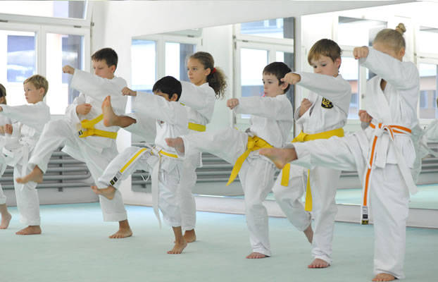 Main image of Karate Akademie Zürich