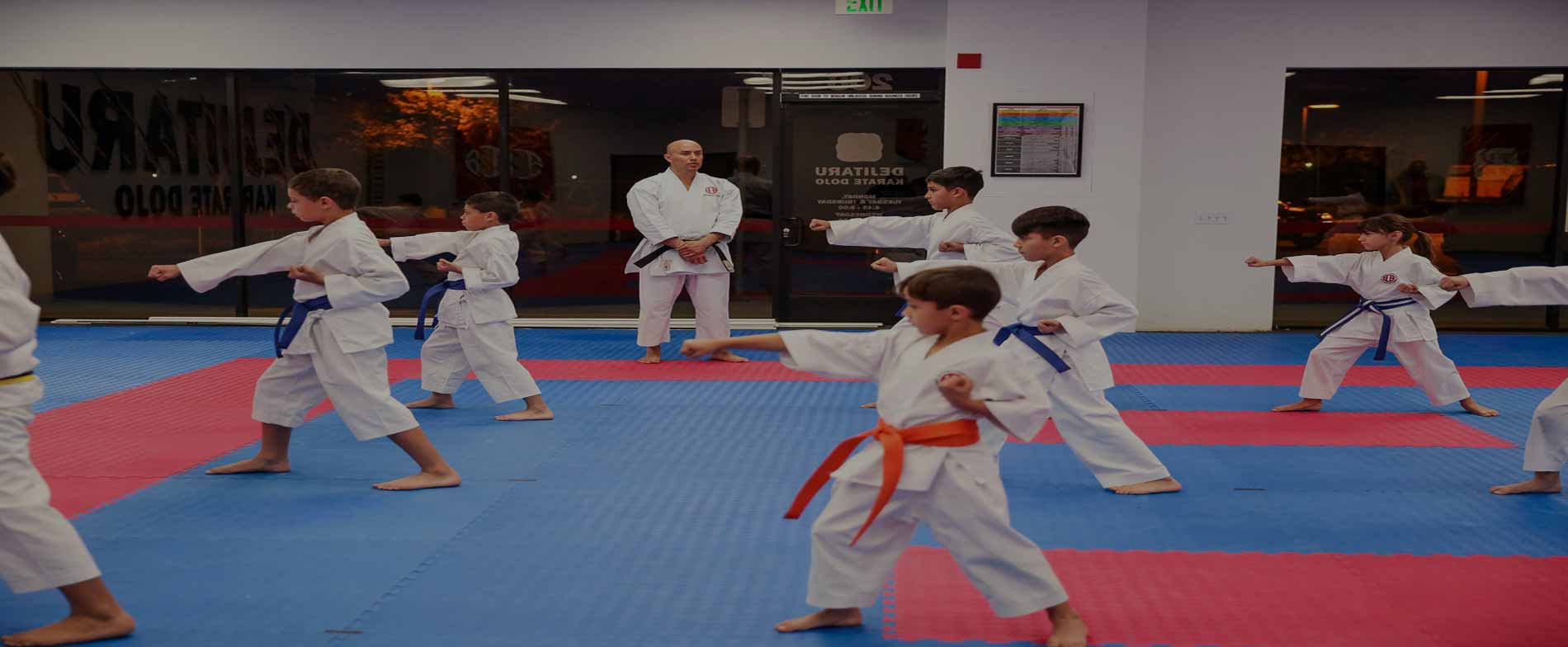 Main image of Karate and Fitness Planet