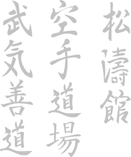 Main image of Karate Bukizendo