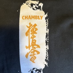 Main image of Karaté Chambly