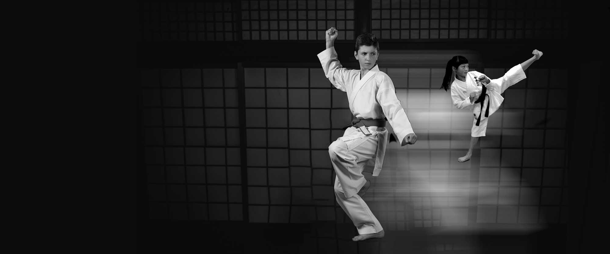 Main image of Karate Christchurch