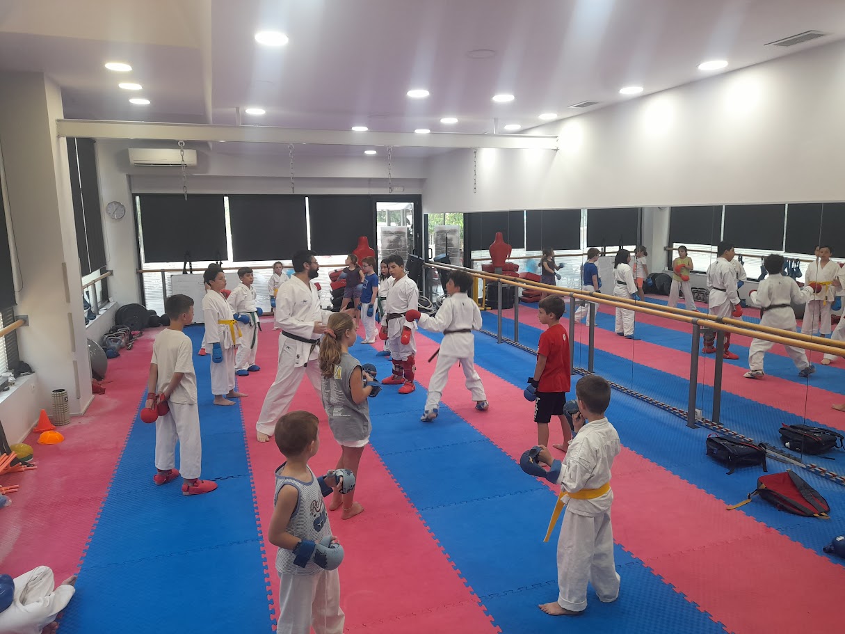 Main image of Karate Club Amarousiou