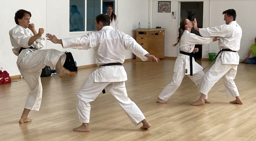 Main image of Karate Club Budocenter Wien