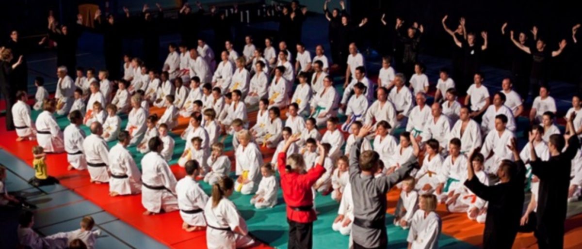 Main image of Karaté Club de Genilac