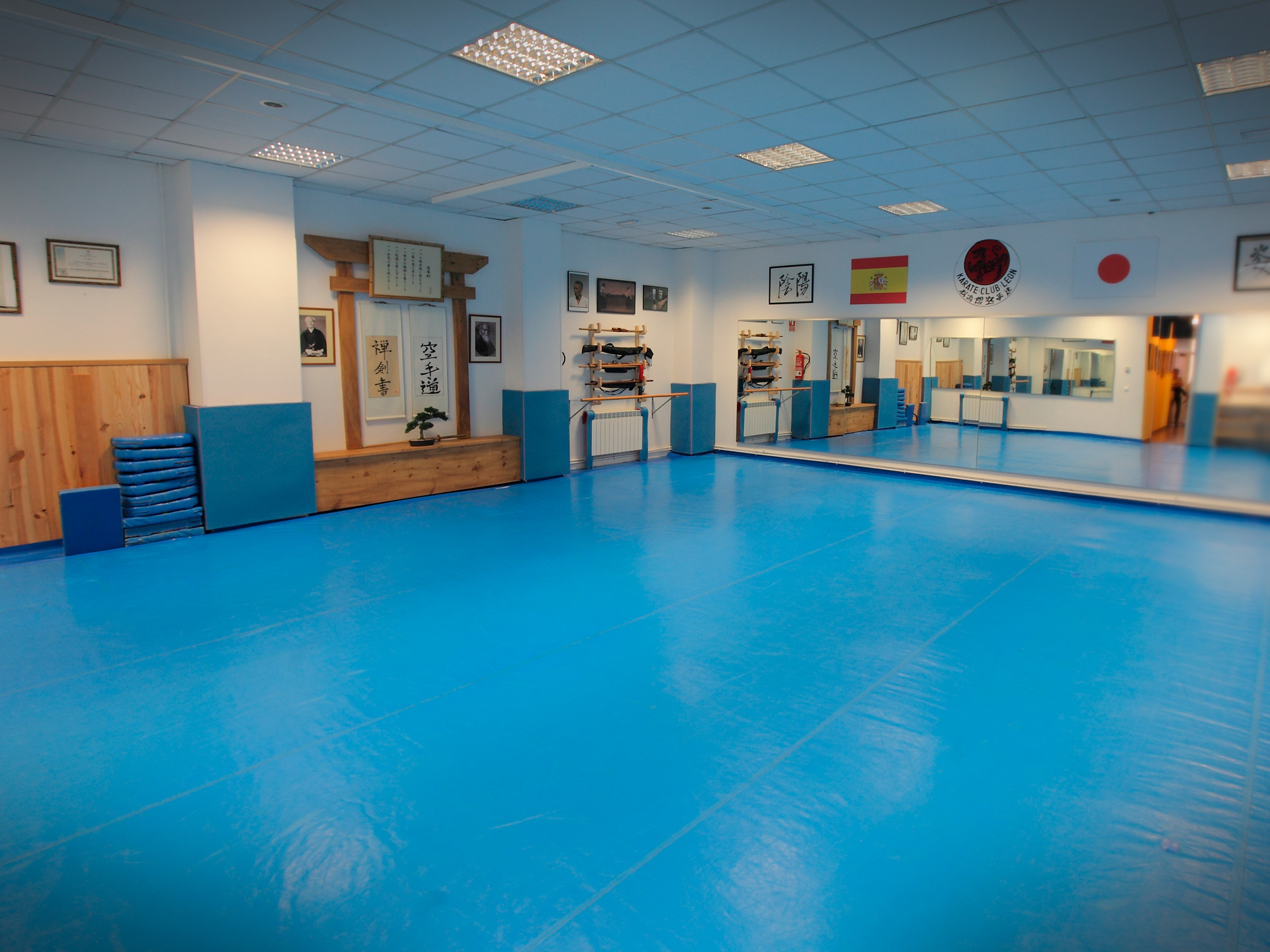 Main image of Karate Club León