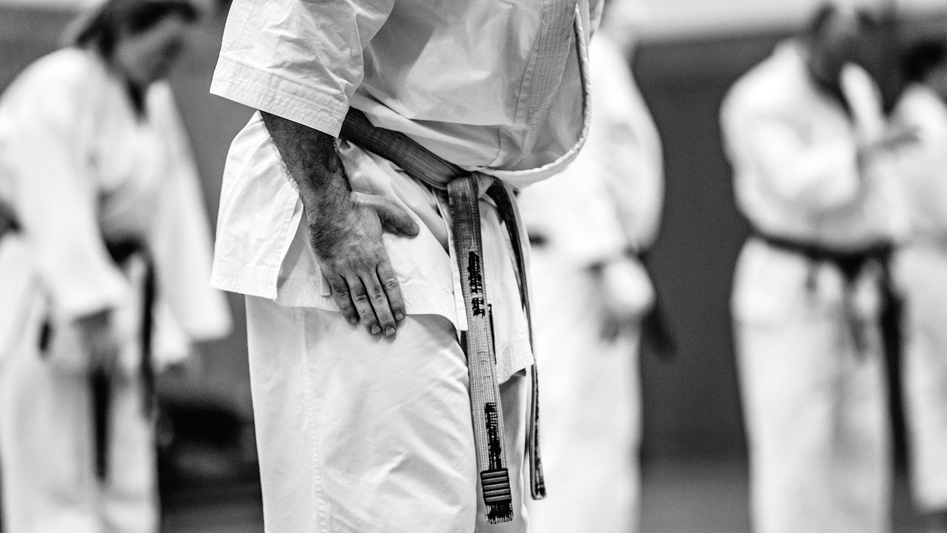 Main image of Karate-Club Passau
