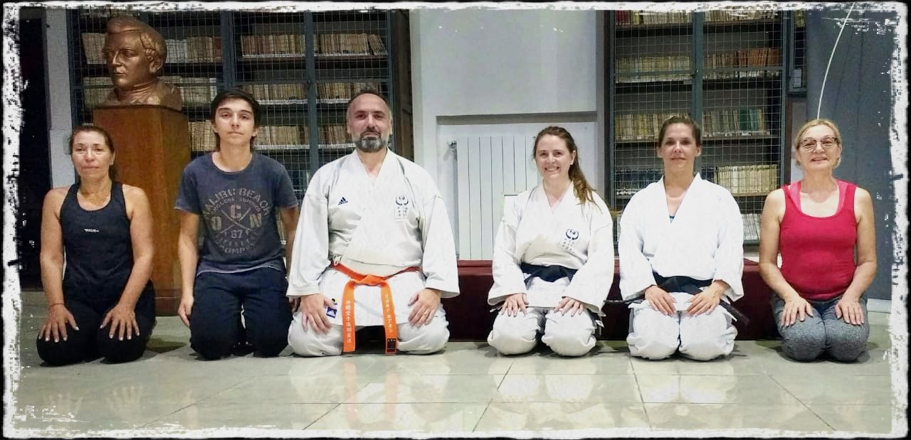 Main image of Karate de Okinawa Estilo Goju