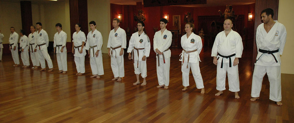 Main image of Karate do international Cape Town