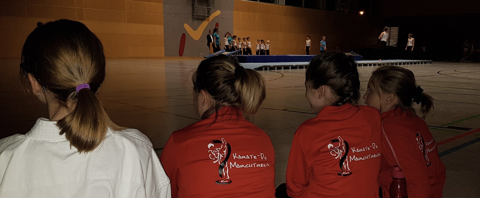 Main image of Karate-Do Marchtrenk