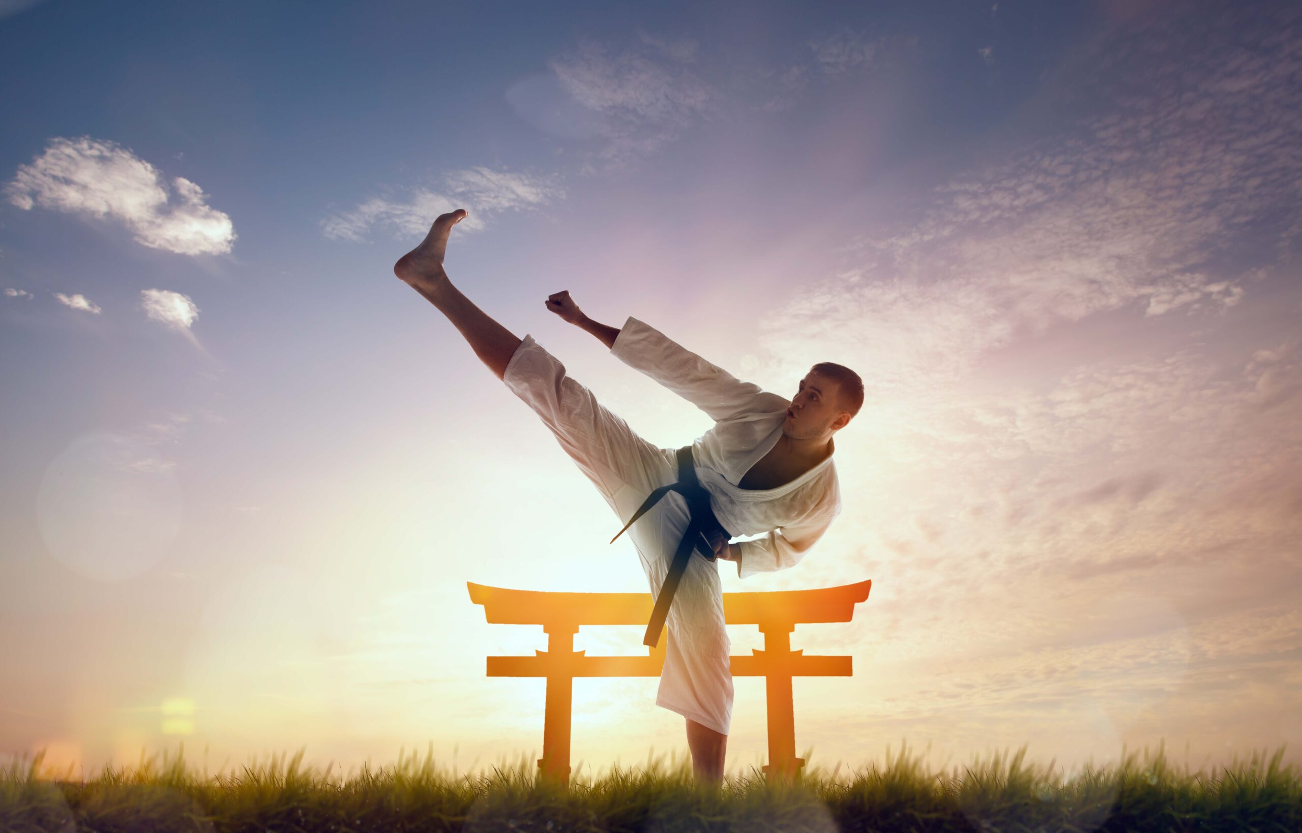 Main image of Karate Do Sana