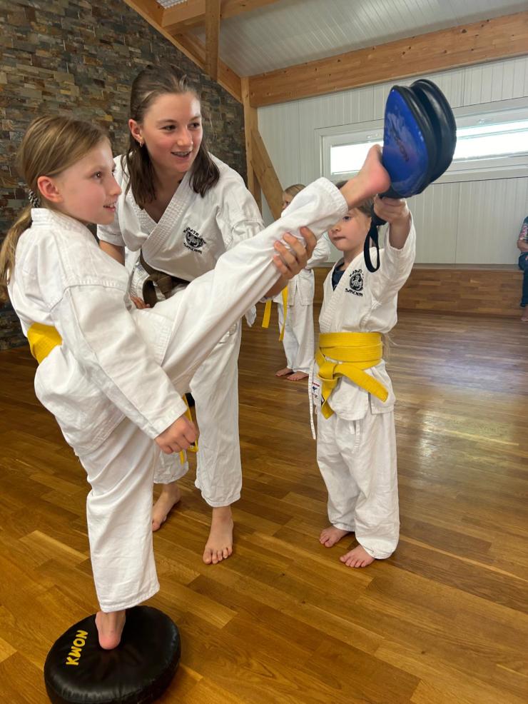 Main image of Karate-Do Sanchin
