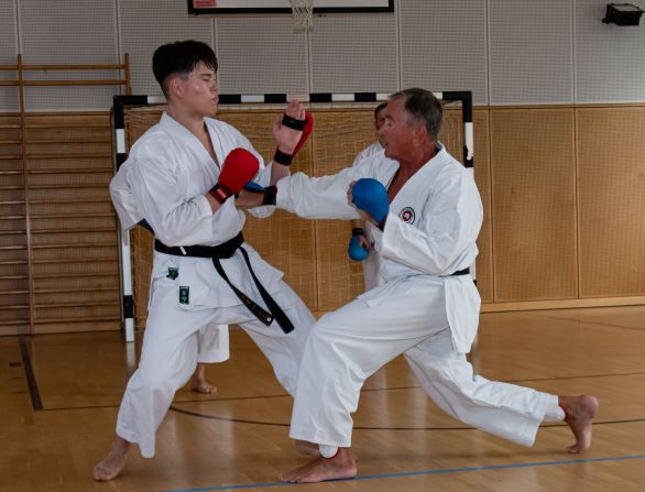 Main image of Karate Dojo