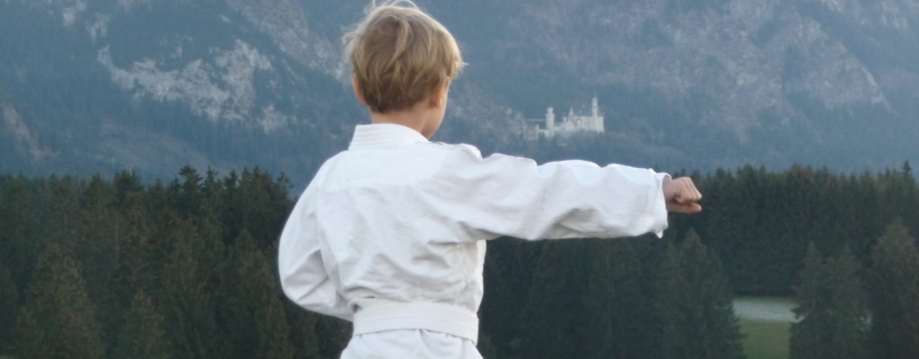 Main image of Karate Dojo Hohenschwangau