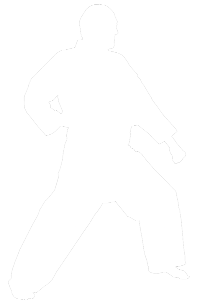 Main image of Karate Dojo Langenenslingen E.v.