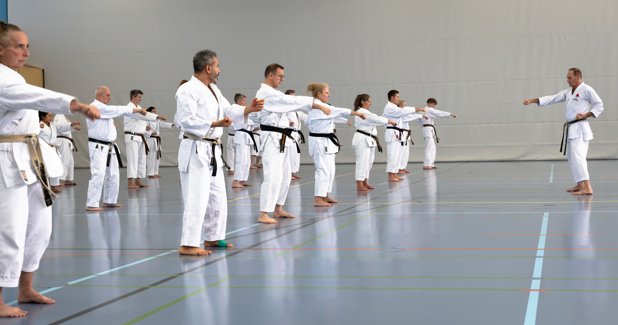 Main image of Karate Dojo Ochi Troisdorf e. V