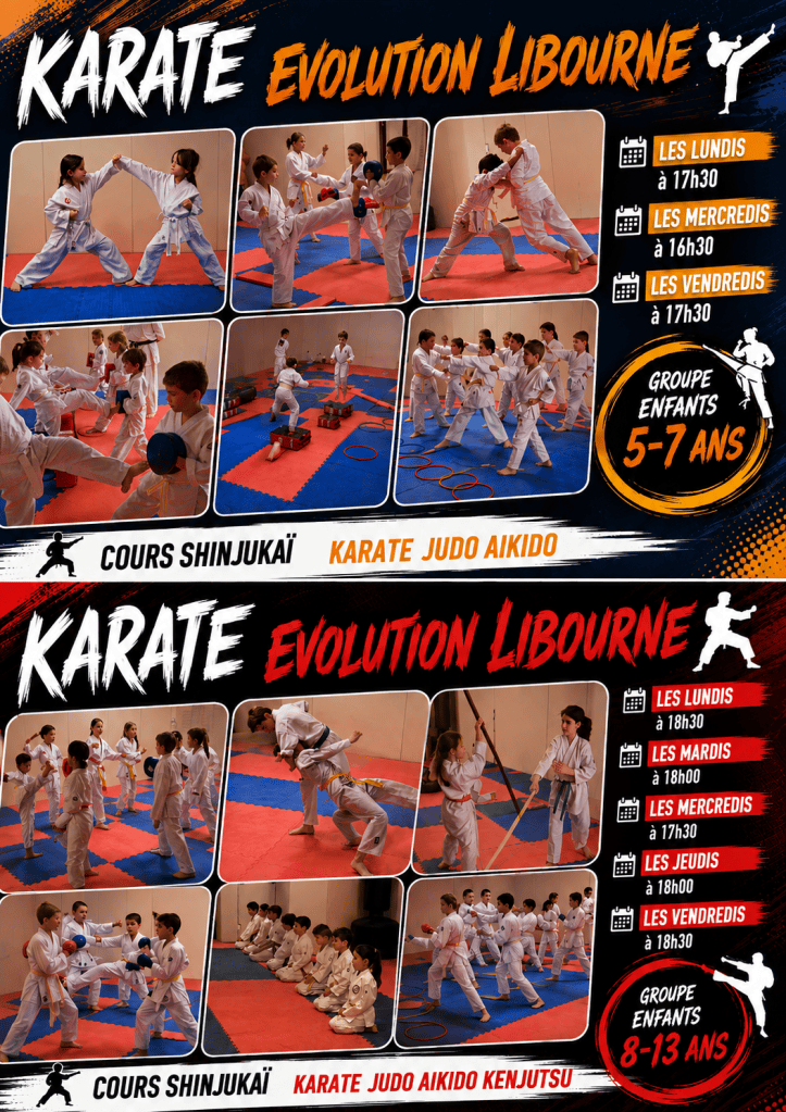 Main image of Karate Evolution