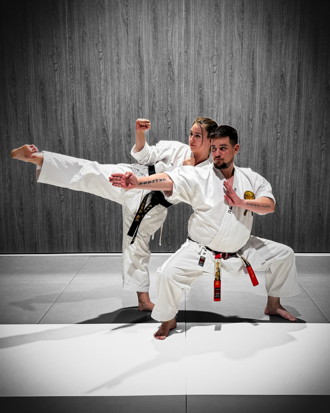 Main image of Karate Goshindo Evolution